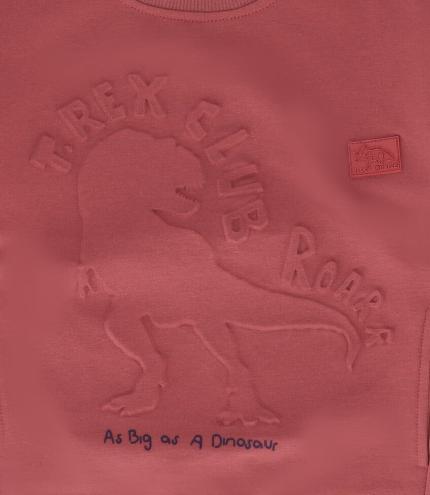 Polerón niño t-rex club 2 años / Café