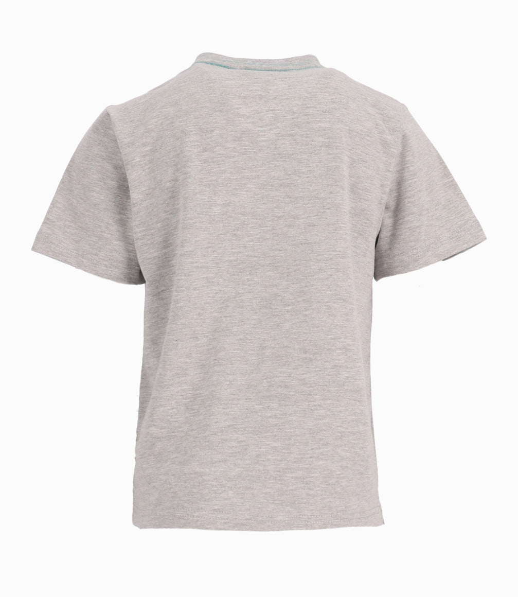 Polera Niño Con Estampado Gris