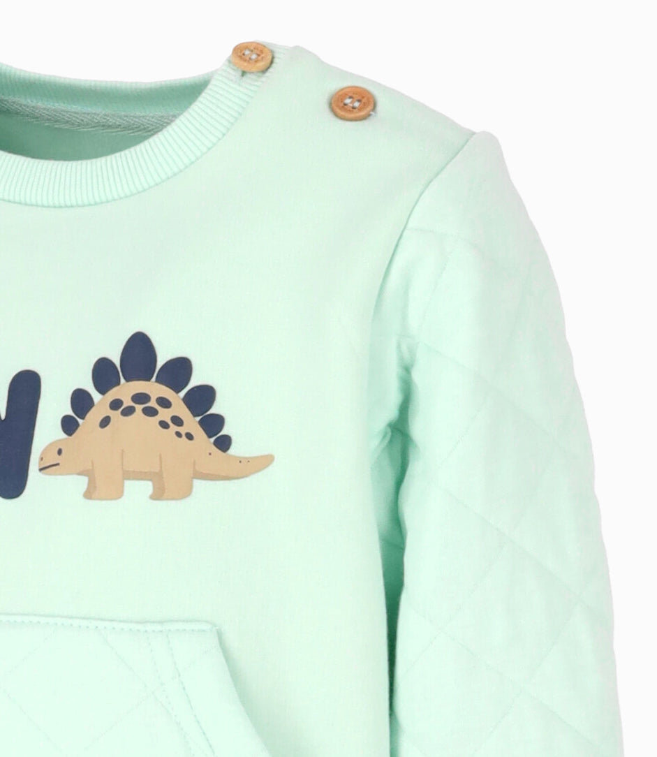Polerón bebé niño dino 6 meses / Menta