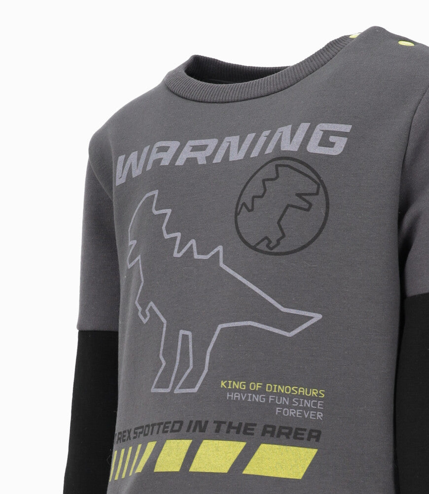 Buzo bebé niño con dinosaurio 6 meses / Gris