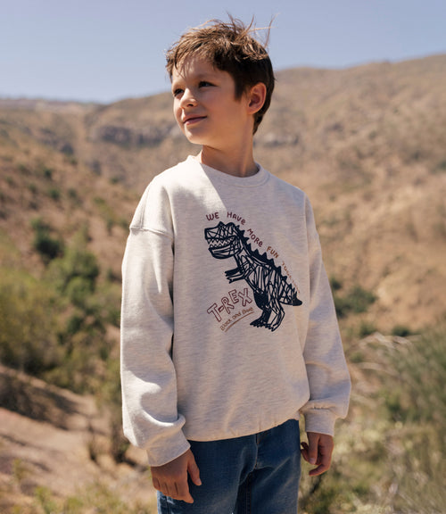 Polerón niño t-rex