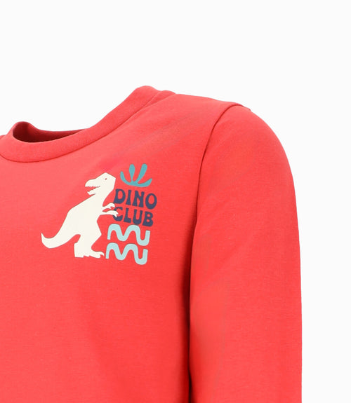 Polera niño con dinosaurio