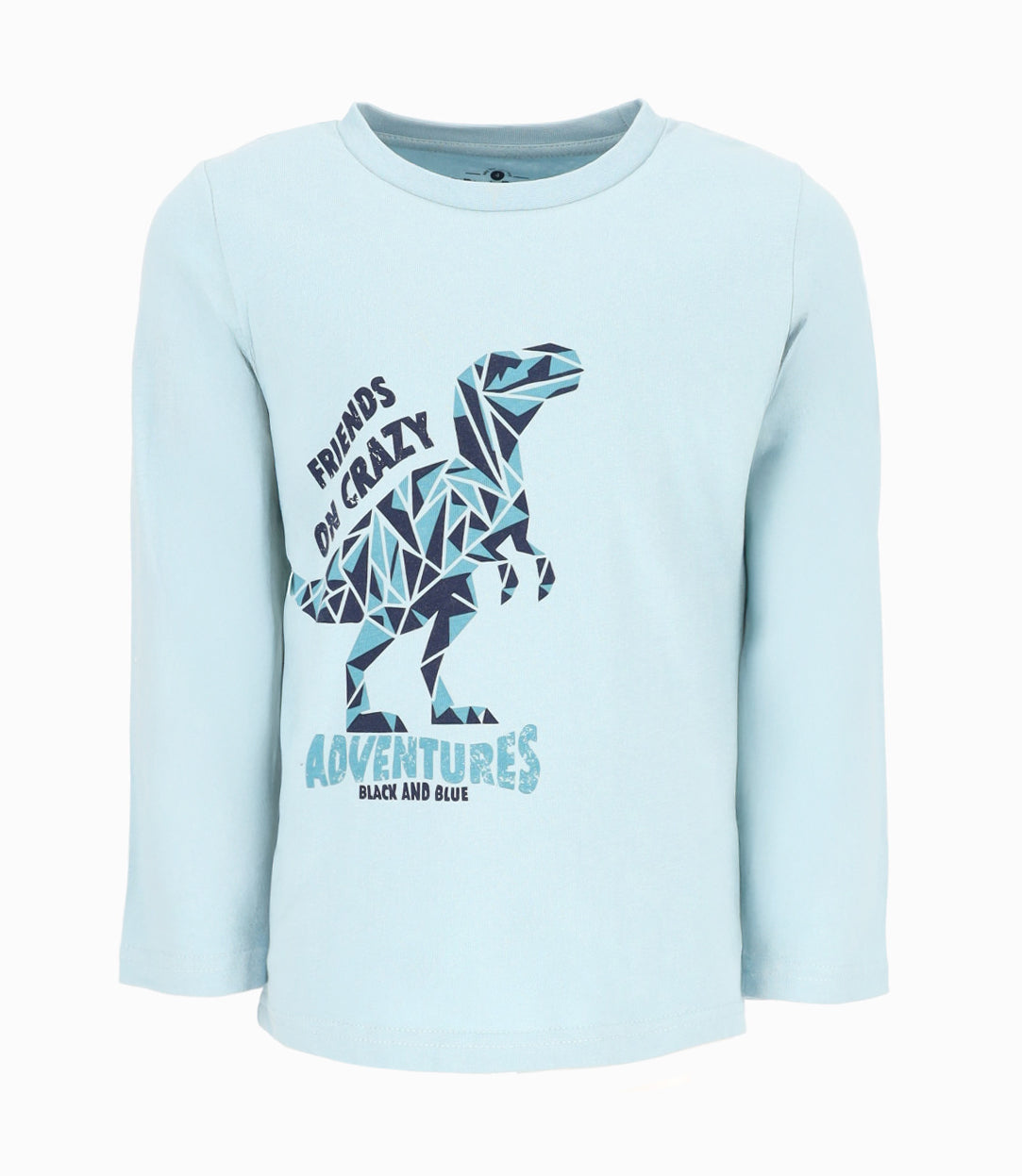 Polera niño con dinosaurios 2 años / Menta