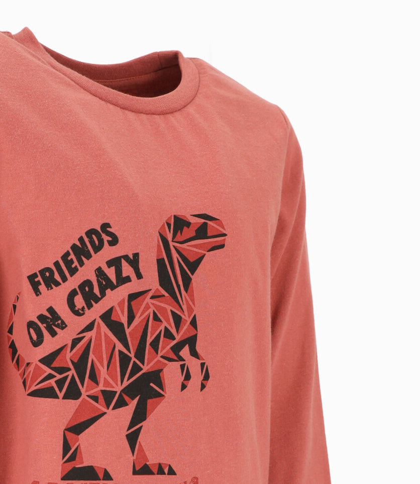 Polera niño con dinosaurio 2 años / Naranjo