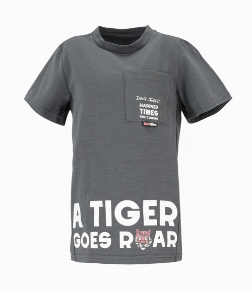 Polera niño long fit 2 años / Gris