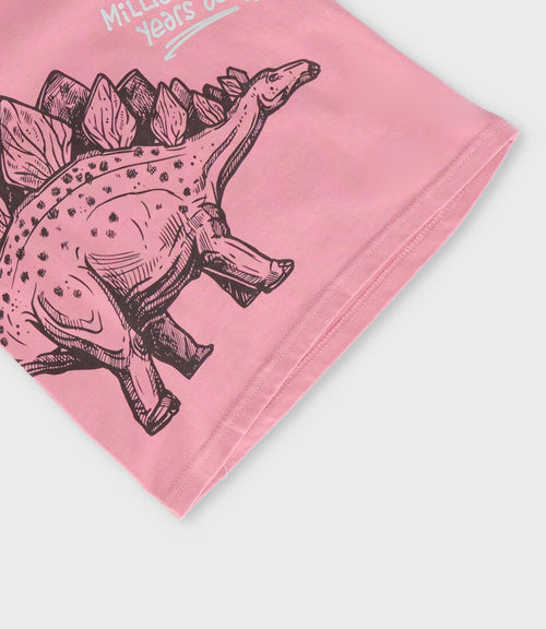 Polera niño con dinosaurio 2 años / Rosado