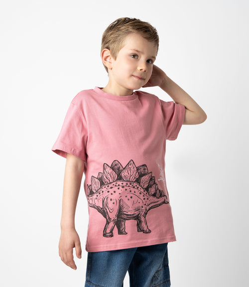 Polera niño con dinosaurio 2 años / Rosado