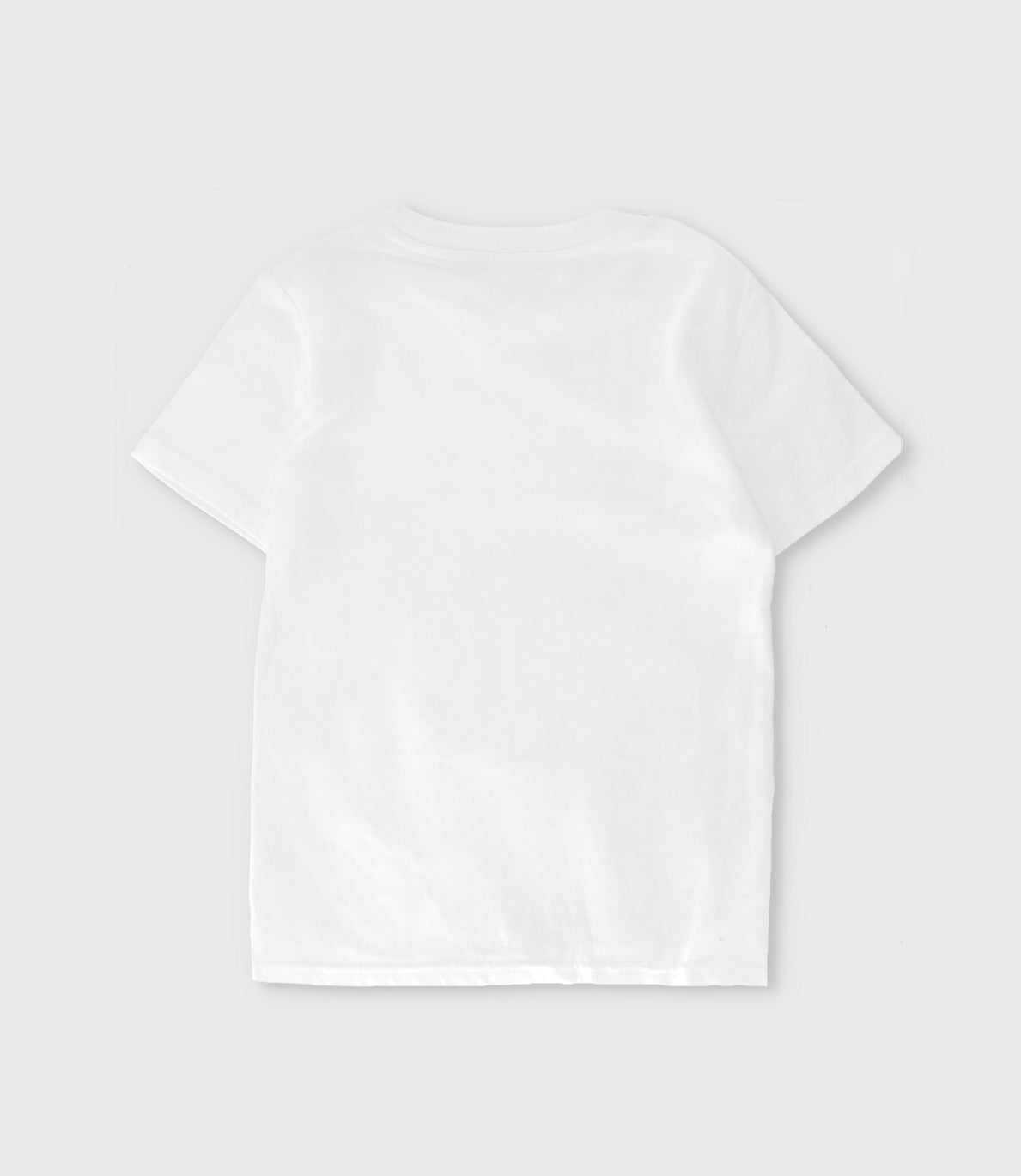 Polera niño con dinosaurio 2 años / Blanco