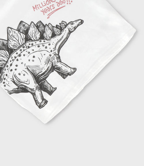 Polera niño con dinosaurio 2 años / Blanco