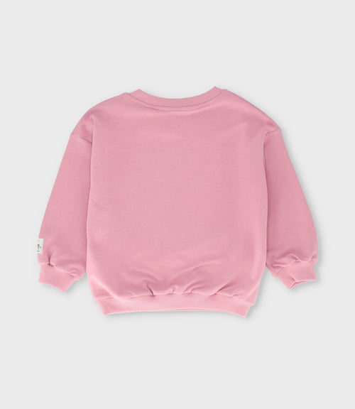 Polerón niño dinos rules 2 años / Rosado