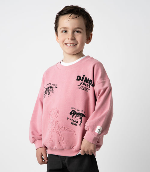 Polerón niño dinos rules 2 años / Rosado