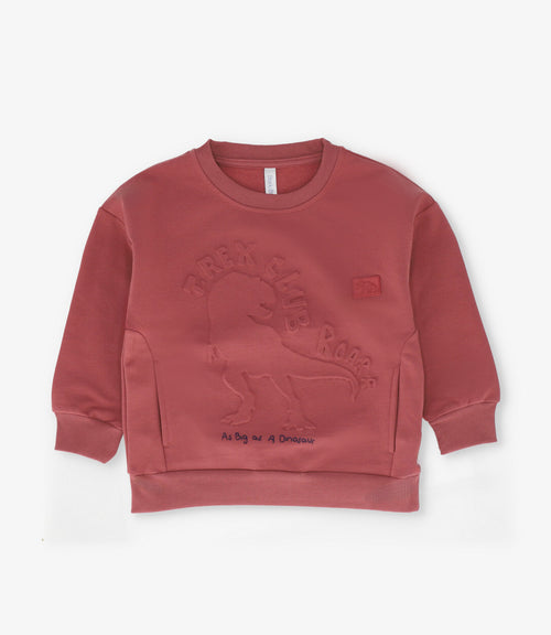 Polerón niño t-rex club 2 años / Café