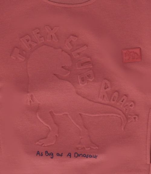 Polerón niño t-rex club 2 años / Café