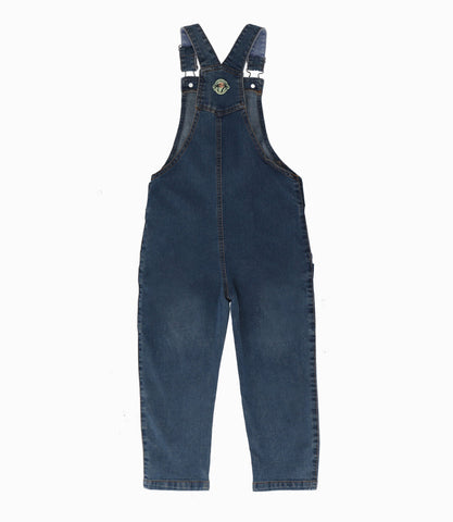 Jardinera niño denim