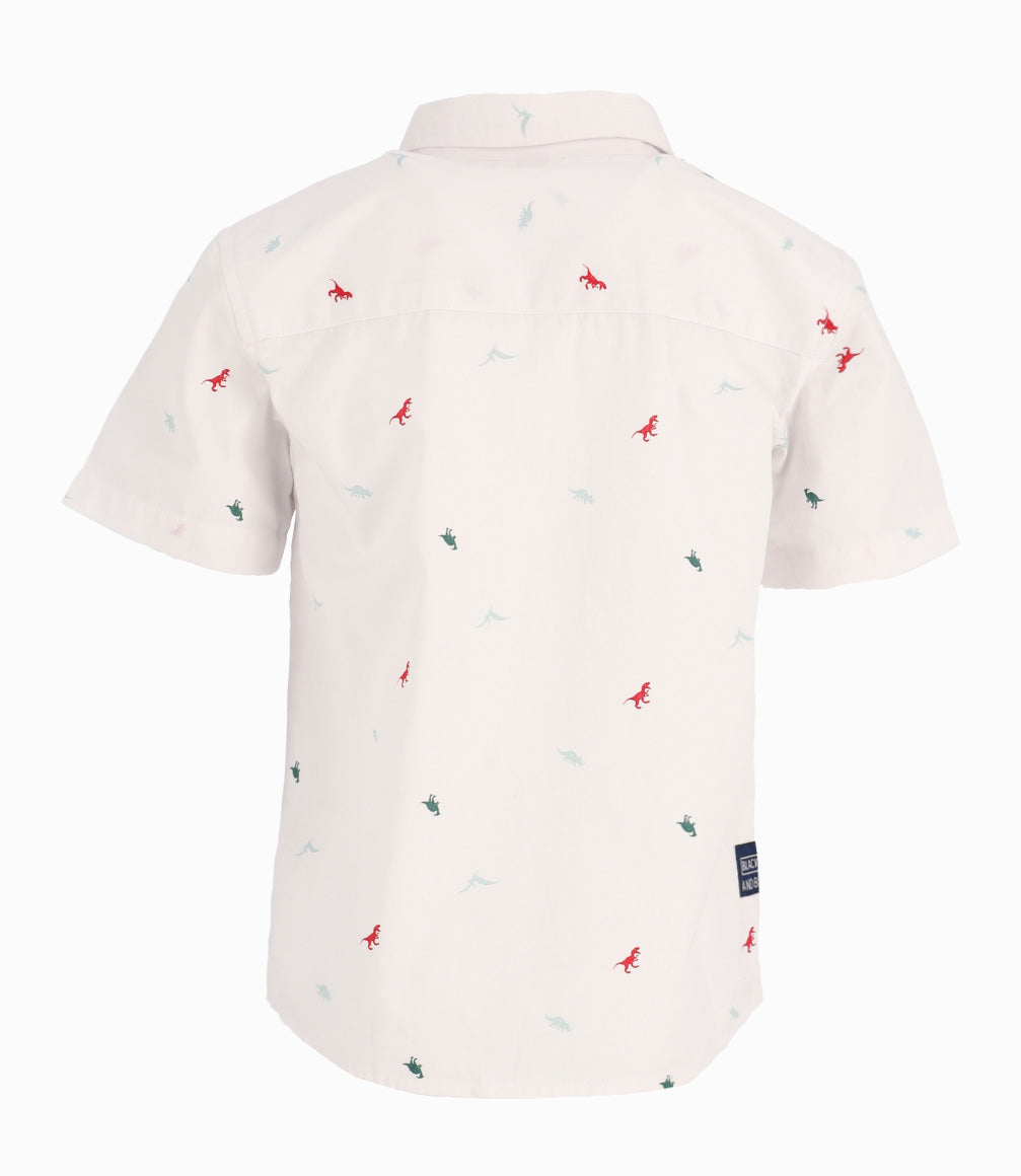 Camisa Niño Con Dinosaurios