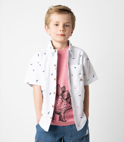 Camisa niño con dinosaurios
