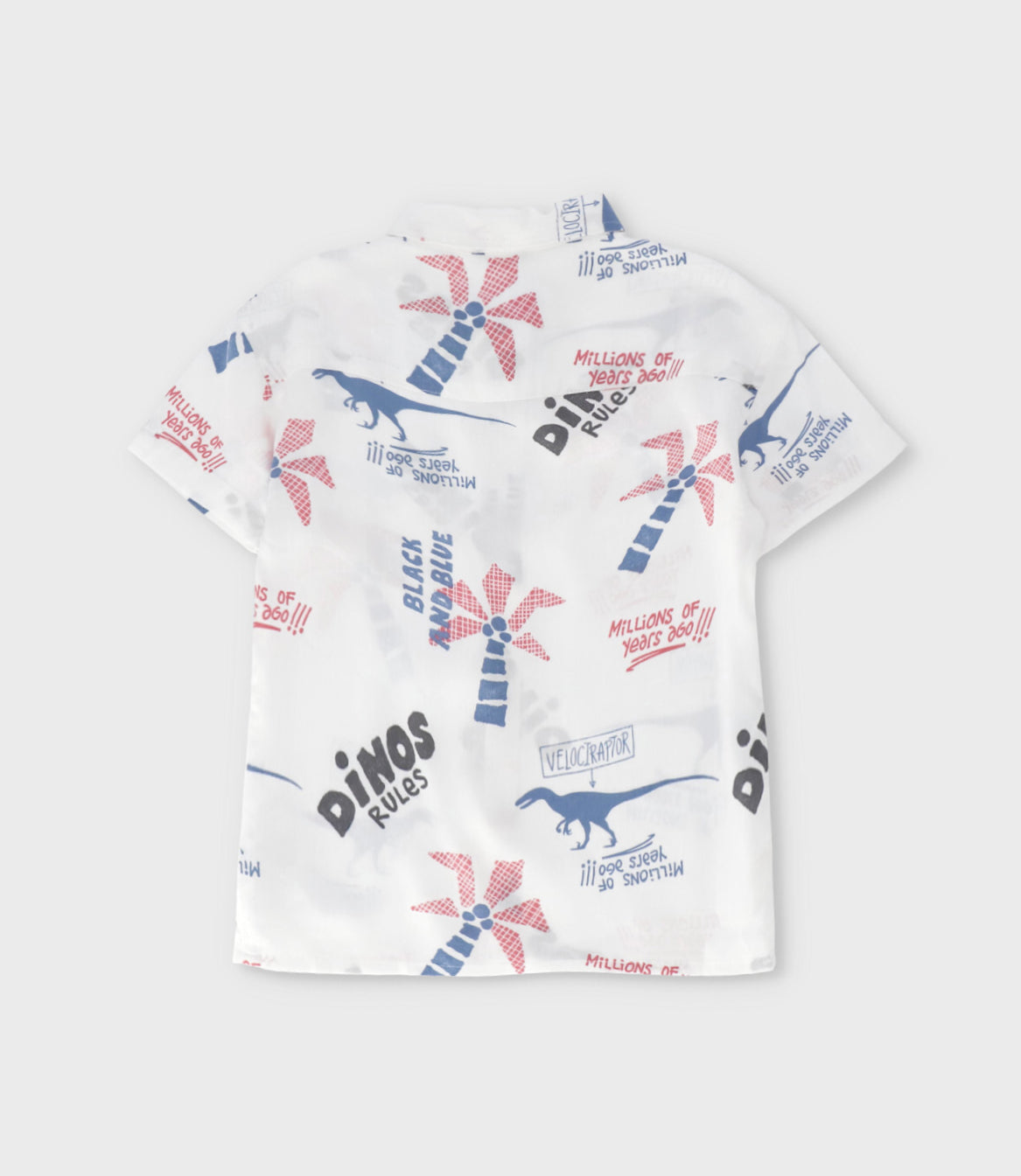 Camisa niño dinos 2 años / Blanco