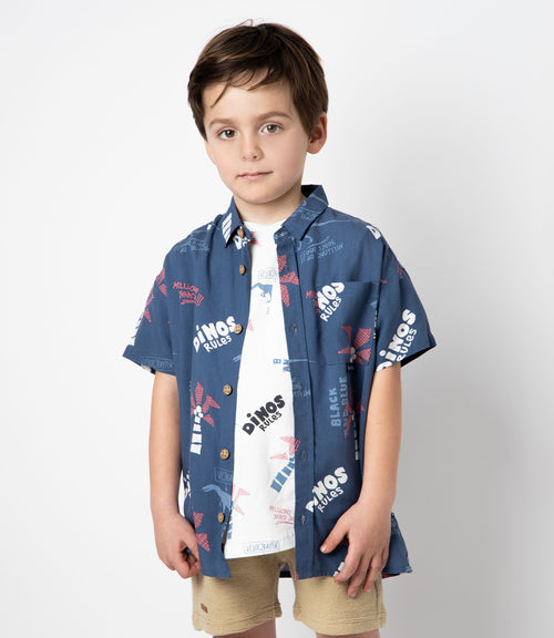 Camisa niño dinos 2 años / Azul
