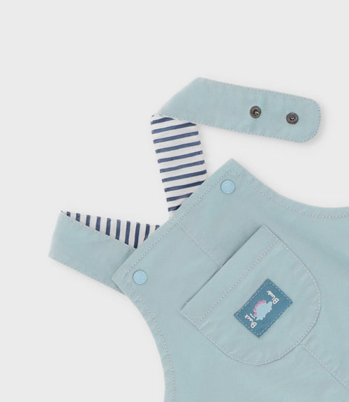 Jardinera recién nacido dino