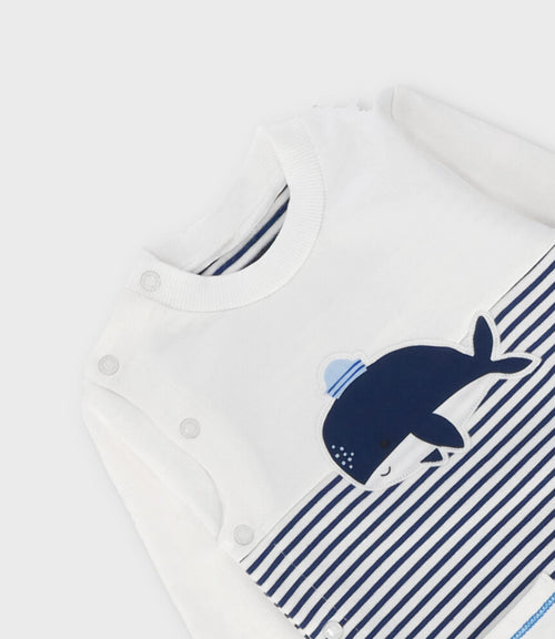 Enterito recién nacido con ballenita 0 meses / Celeste