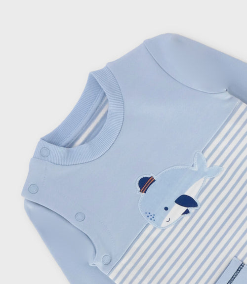 Enterito recién nacido con ballenita 0 meses / Celeste