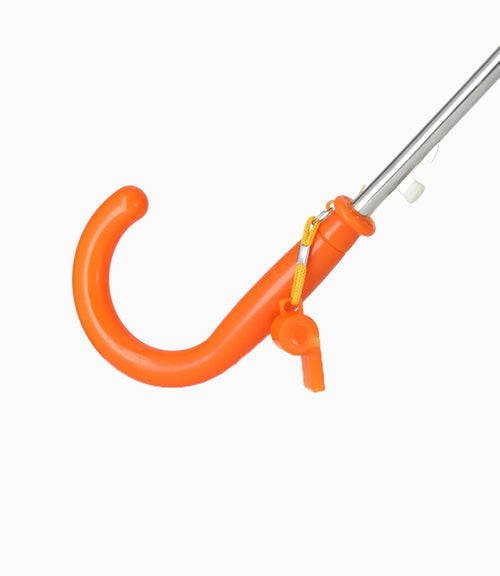 Paraguas Niño De Dinosaurio