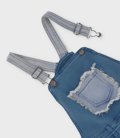 Jardinera niña con flores 2 años / Celeste