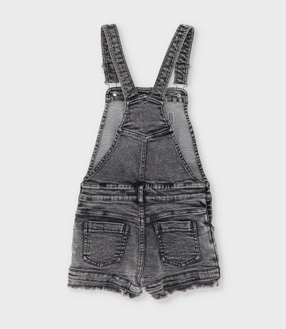 Jardinera niña aplicación de flores