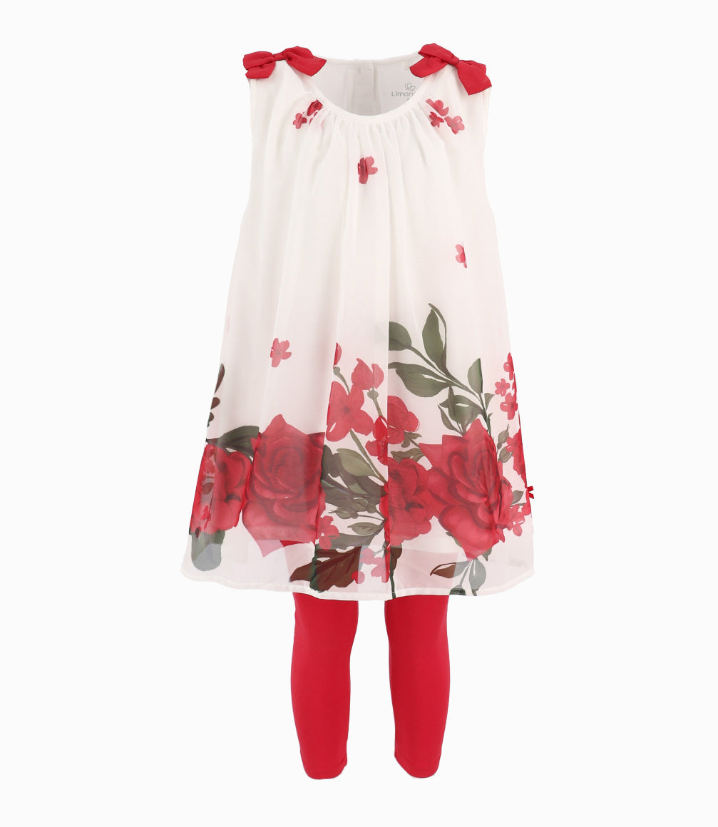 Conjunto Niña De Vestido Y Calzas
