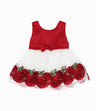 Vestido recién nacida con tul