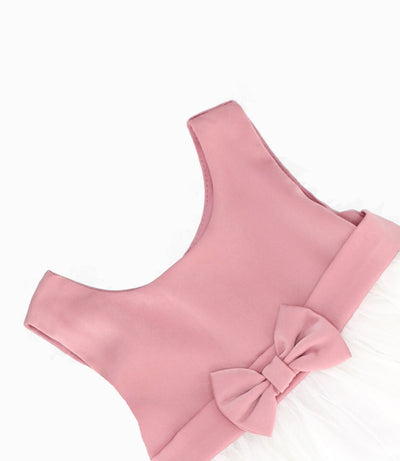 Vestido Recién nacida con tul 0 meses / Palo Rosa