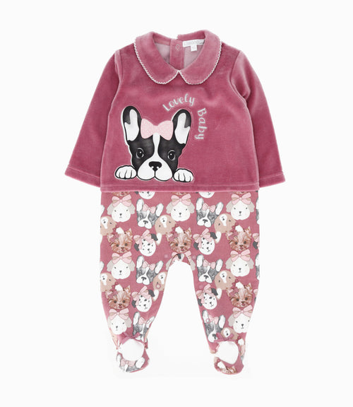 Enterito recién nacida con perrito 0 meses / Coral