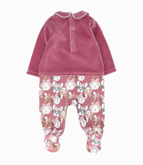 Enterito recién nacida con perrito 0 meses / Coral