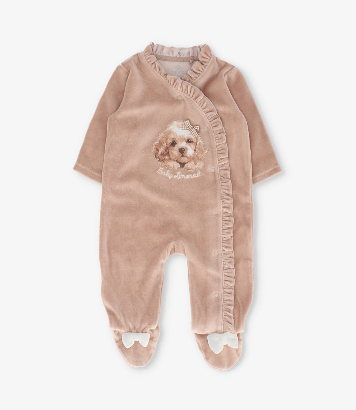 Enterito recién nacida con perro 0 meses / Beige