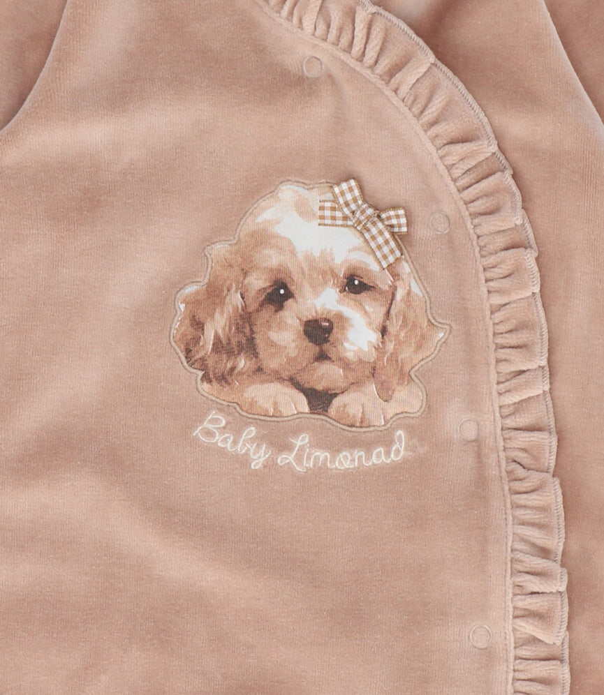 Enterito recién nacida con perro 0 meses / Beige