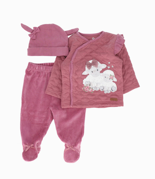 Conjunto recién nacida 3 piezas 0 meses / Burdeo