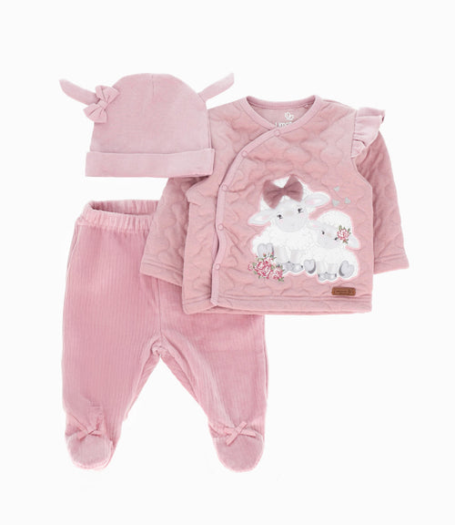 Conjunto recién nacida 3 piezas 0 meses / Palo Rosa