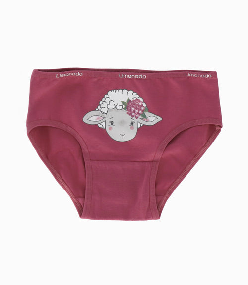 Pack calzón niña 3 unidades 2-3 años / Varios
