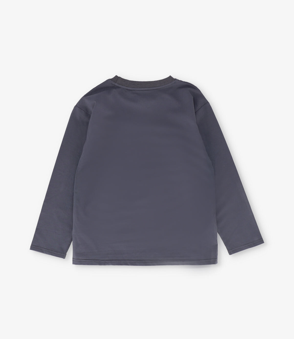Polera niño dino team 2 años / Gris