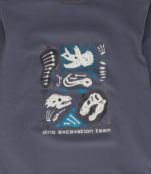 Polera niño dino team 2 años / Gris