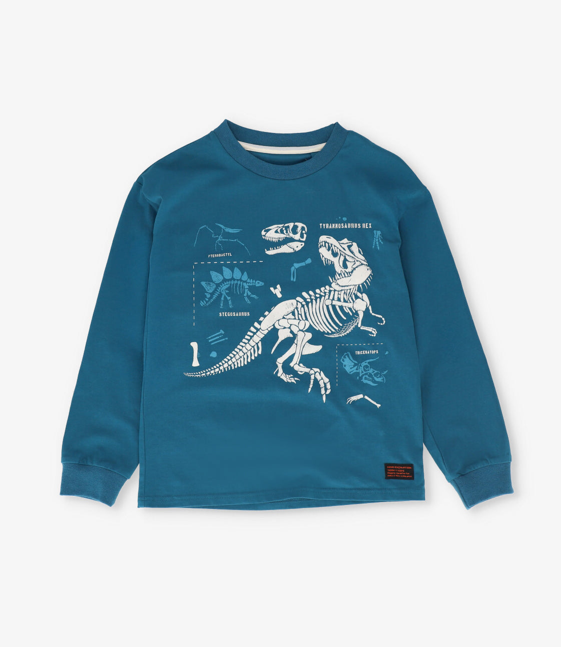 Polera niño dinosaurios 2 años / Petróleo