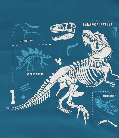 Polera niño dinosaurios 2 años / Petróleo