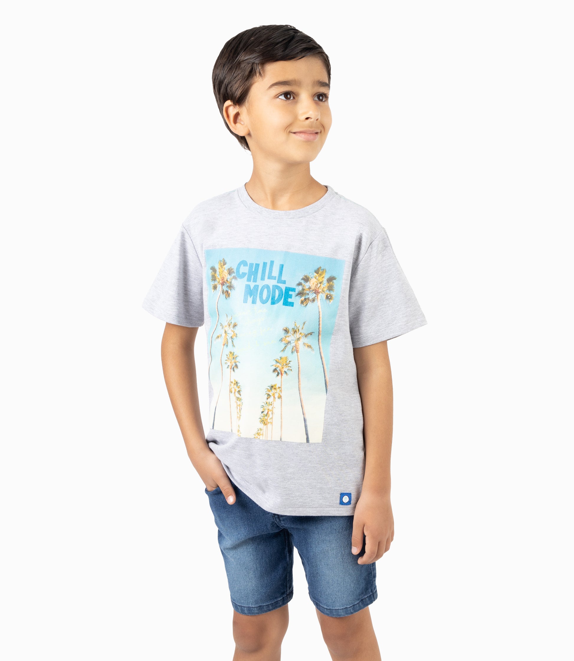 Polera Niño Con Estampado Gris 2 años / Gris