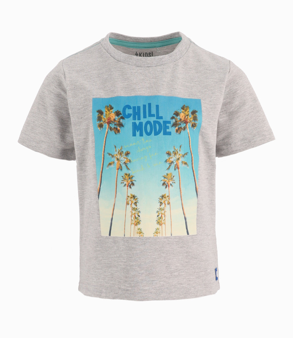 Polera Niño Con Estampado Gris