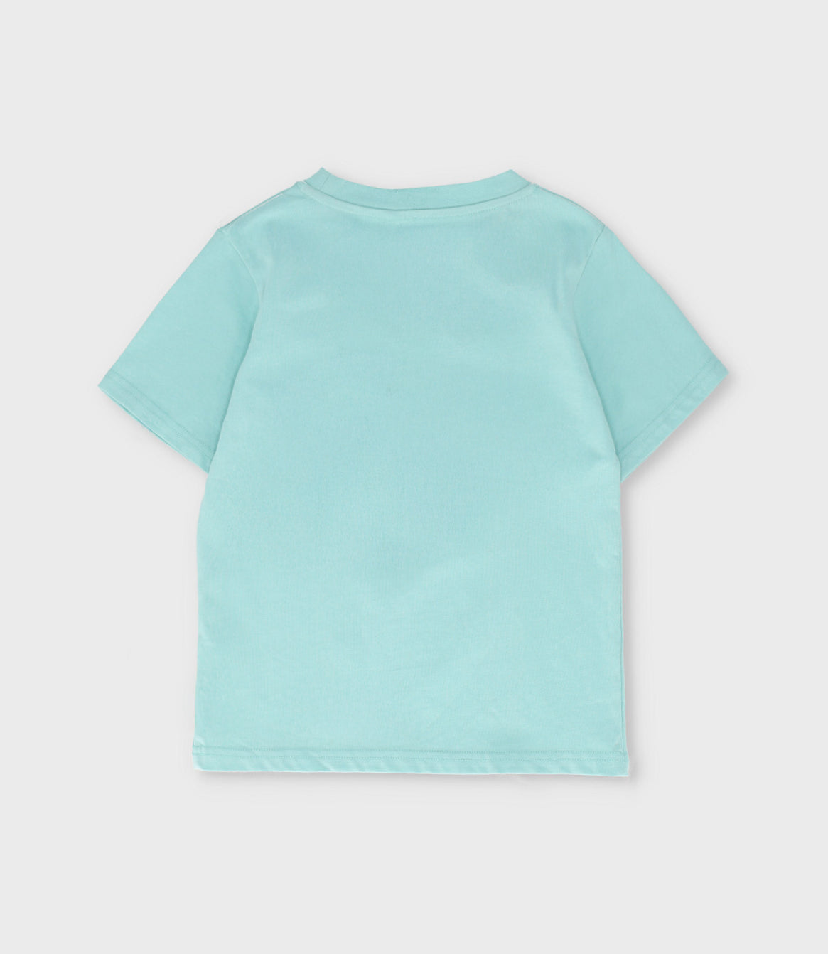 Polera niño surf 2 años / Menta