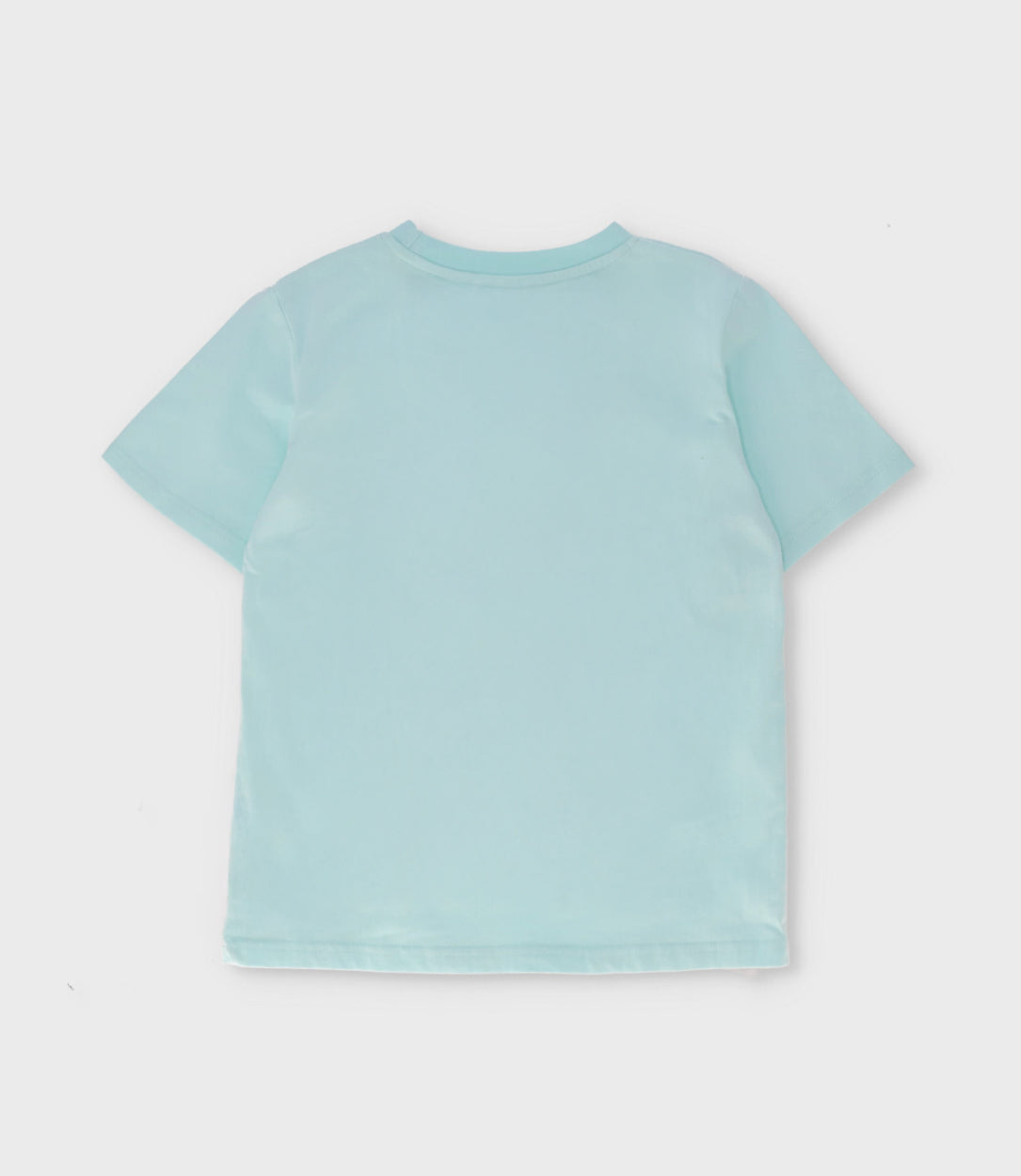 Polera niño con palmera 2 años / Menta