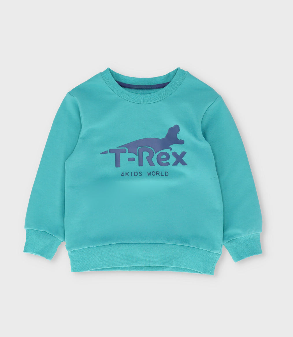 Polerón niño t-rex 2 años / Menta