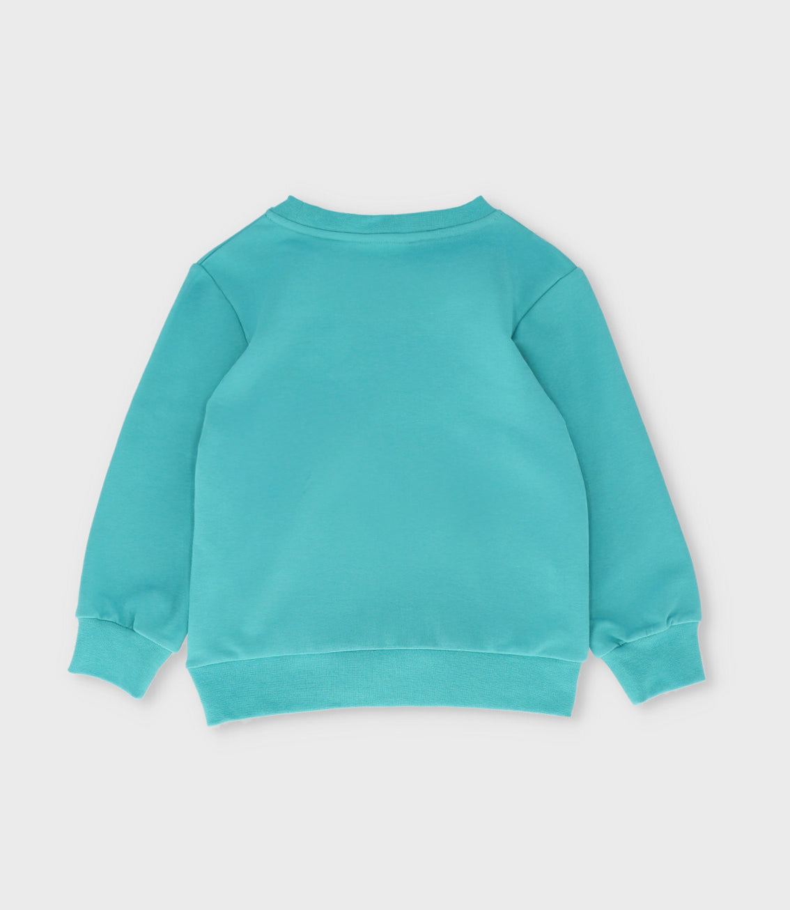 Polerón niño t-rex 2 años / Menta