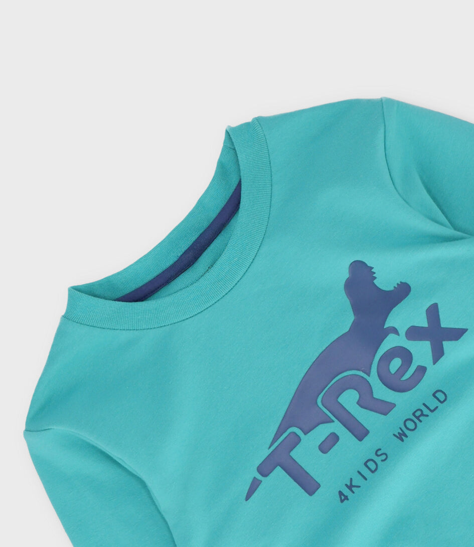 Polerón niño t-rex 2 años / Menta