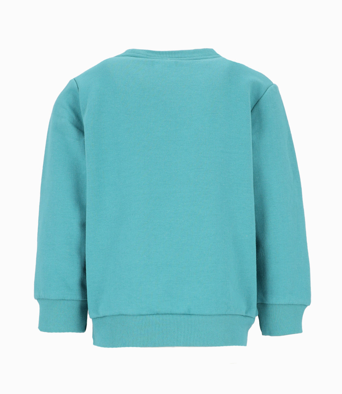 Polerón niño con dinosaurios 2 años / Petróleo